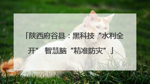 陕西府谷县：黑科技“水利全开” 智慧脑“精准防灾”