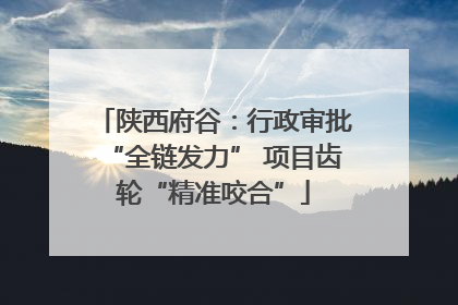 陕西府谷：行政审批“全链发力” 项目齿轮“精准咬合”