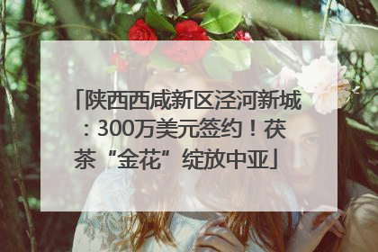 陕西西咸新区泾河新城：300万美元签约！茯茶“金花”绽放中亚
