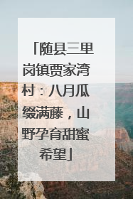随县三里岗镇贾家湾村：八月瓜缀满藤，山野孕育甜蜜希望