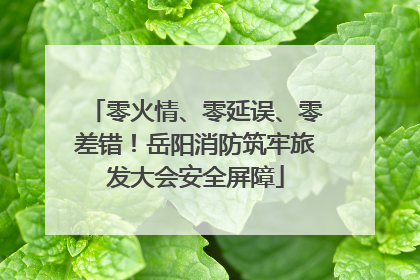 零火情、零延误、零差错！岳阳消防筑牢旅发大会安全屏障