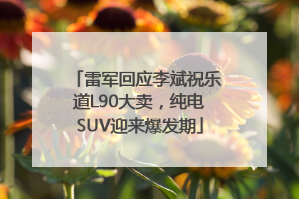雷军回应李斌祝乐道L90大卖，纯电SUV迎来爆发期