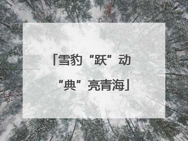 雪豹“跃”动 “典”亮青海