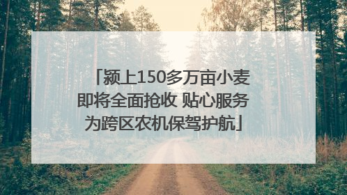 颍上150多万亩小麦即将全面抢收 贴心服务为跨区农机保驾护航