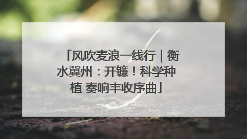 风吹麦浪一线行｜衡水冀州：开镰！科学种植 奏响丰收序曲
