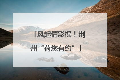 风起倩影摇！荆州“荷您有约”