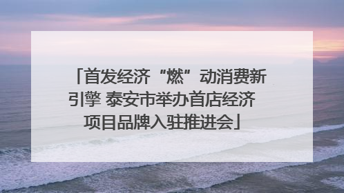 首发经济“燃”动消费新引擎 泰安市举办首店经济项目品牌入驻推进会