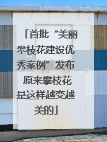 首批“美丽攀枝花建设优秀案例”发布 原来攀枝花是这样越变越美的
