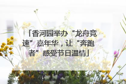 香河园举办“龙舟竞速”嘉年华，让“奔跑者”感受节日温情