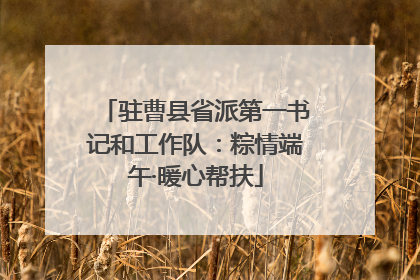 驻曹县省派第一书记和工作队：粽情端午·暖心帮扶
