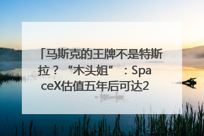 马斯克的王牌不是特斯拉？“木头姐”：SpaceX估值五年后可达2.5万亿美元！