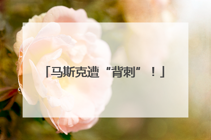 马斯克遭“背刺”！