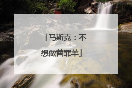 马斯克：不想做替罪羊