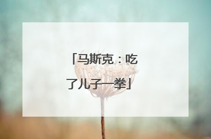 马斯克：吃了儿子一拳