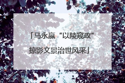 马永嬴“以陵窥政” 掠影文景治世风采