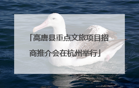 高唐县重点文旅项目招商推介会在杭州举行