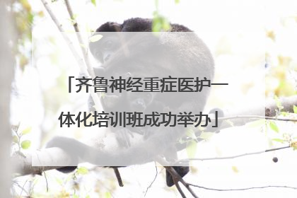 齐鲁神经重症医护一体化培训班成功举办