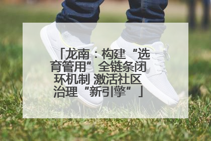 龙南：构建“选育管用”全链条闭环机制 激活社区治理“新引擎”