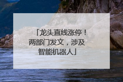 龙头直线涨停！两部门发文，涉及智能机器人