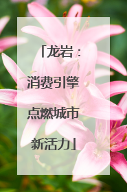 龙岩：消费引擎点燃城市新活力