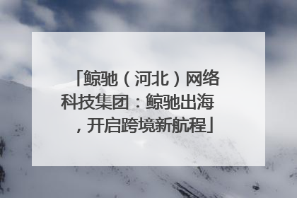 鲸驰（河北）网络科技集团：鲸驰出海，开启跨境新航程