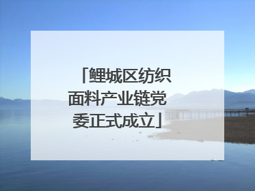 鲤城区纺织面料产业链党委正式成立