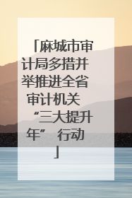 麻城市审计局多措并举推进全省审计机关 “三大提升年” 行动