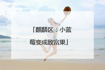 麒麟区：小蓝莓变成致富果