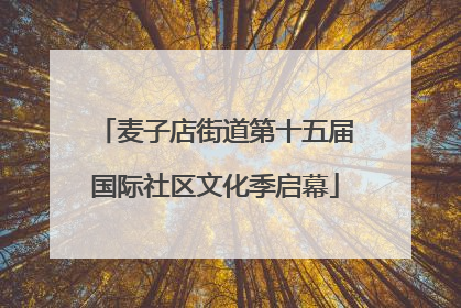 麦子店街道第十五届国际社区文化季启幕