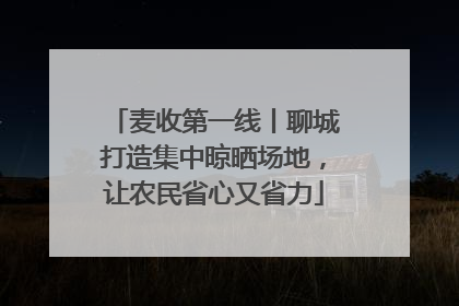 麦收第一线丨聊城打造集中晾晒场地，让农民省心又省力