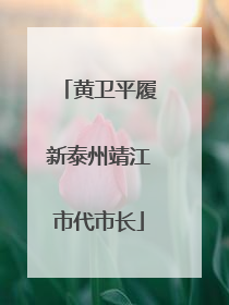 黄卫平履新泰州靖江市代市长