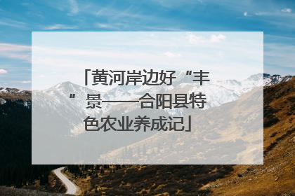 黄河岸边好“丰”景——合阳县特色农业养成记