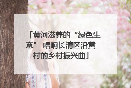 黄河滋养的“绿色生意” 唱响长清区沿黄村的乡村振兴曲