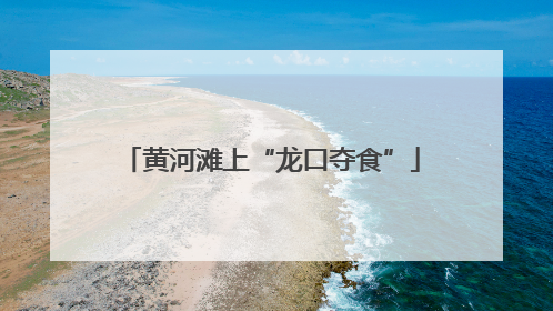 黄河滩上“龙口夺食”