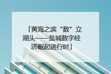 黄海之滨“数”立潮头——盐城数字经济崛起进行时
