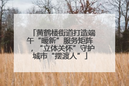 黄鹤楼街道打造端午“暖新”服务矩阵，“立体关怀”守护城市“摆渡人”
