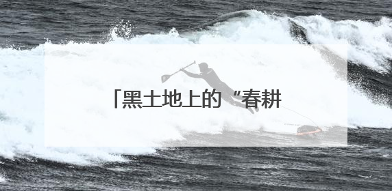 黑土地上的“春耕芯片”：“吉科稻518”的育种传奇