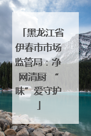 黑龙江省伊春市市场监管局：净网清厨 “味”爱守护