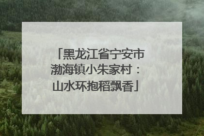 黑龙江省宁安市渤海镇小朱家村：山水环抱稻飘香