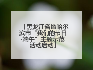 黑龙江省暨哈尔滨市“我们的节日·端午”主题示范活动启动