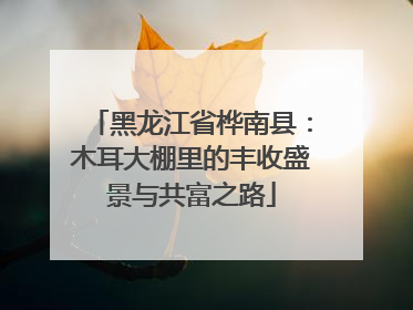 黑龙江省桦南县：木耳大棚里的丰收盛景与共富之路