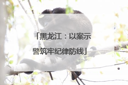 黑龙江：以案示警筑牢纪律防线