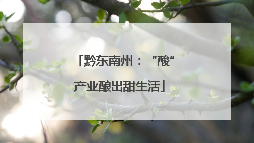 黔东南州：“酸”产业酿出甜生活