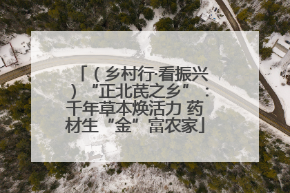 （乡村行·看振兴）“正北芪之乡”：千年草本焕活力 药材生“金”富农家