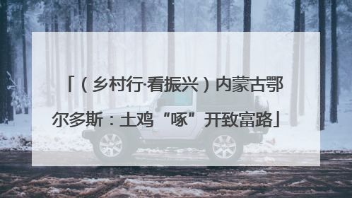 （乡村行·看振兴）内蒙古鄂尔多斯：土鸡“啄”开致富路