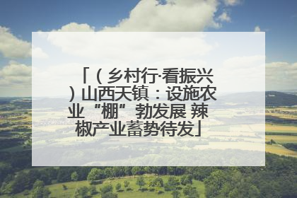 （乡村行·看振兴）山西天镇：设施农业“棚”勃发展 辣椒产业蓄势待发