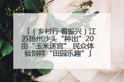 （乡村行·看振兴）江苏扬州沙头“种出”20亩“玉米迷宫” 民众体验别样“田园乐趣”