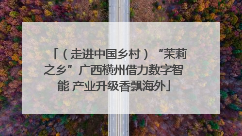 （走进中国乡村）“茉莉之乡”广西横州借力数字智能 产业升级香飘海外