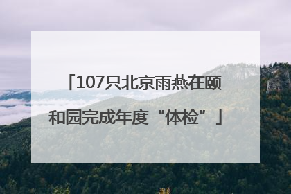 107只北京雨燕在颐和园完成年度“体检”