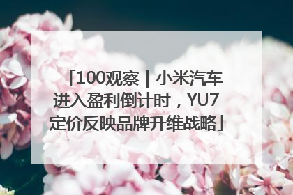 100观察｜小米汽车进入盈利倒计时，YU7定价反映品牌升维战略